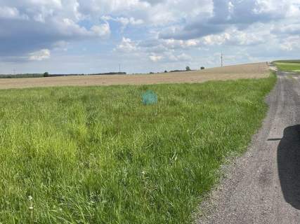 Działka w okolicach Skorzęcina i Witkowa