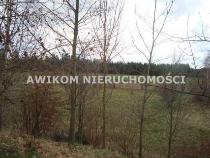 Działka na sprzedaż, 10300 m2, Pieńki Zarębskie