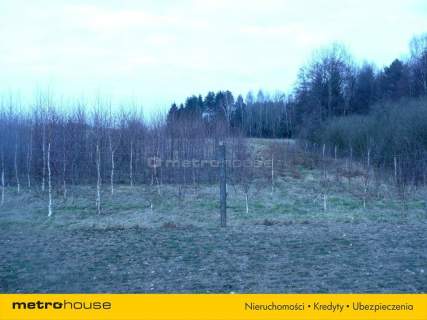 Działka leśna na sprzedaż, 133500 m2, Franknowo