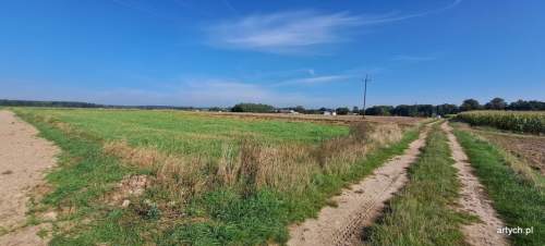 Działka rolna na sprzedaż, 3000 m2, Rogów
