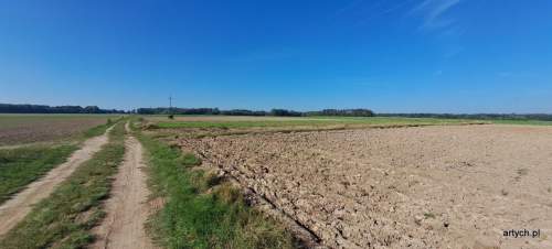 Działka rolna na sprzedaż, 3000 m2, Rogów