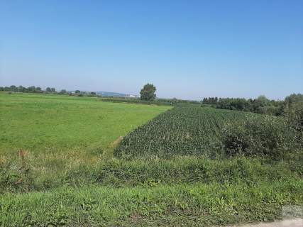 Działka rolna na sprzedaż, 7993 m2, Przemyśl