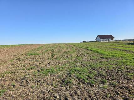 Działka budowlana 1,07 ha Roztoka