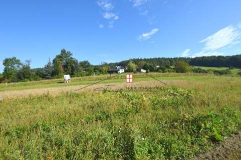Działka budowlana na sprzedaż, 13400 m2, Wapowce