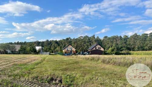 Działka 831 m WZ 5 km Stęszew pod lasem