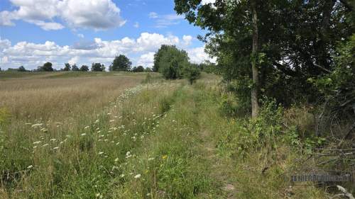 możliwość zabudowy zagrodowej -1 km od jeziora Pil