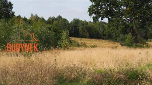 Działka rolna - Karsino