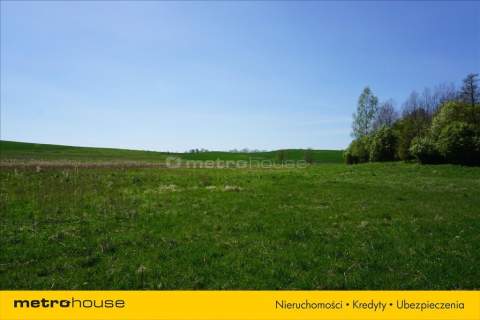 Działki rolne, 6,95 ha, głównie łąki i pastwiska.