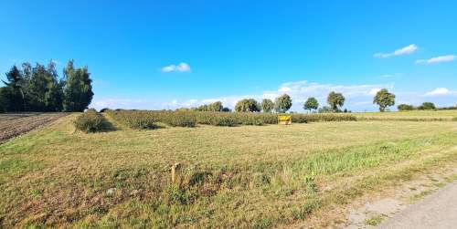 Działka budowlana, Tarło Kolonia