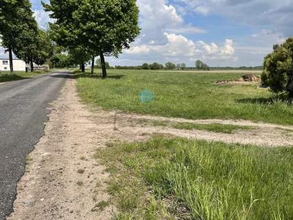 Działka w okolicach Skorzęcina i Witkowa