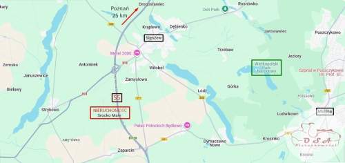 Działka 831 m WZ 5 km Stęszew pod lasem