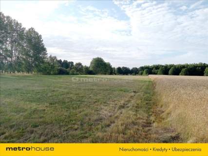 Malanów gmina Lutomiersk 14.119 m2