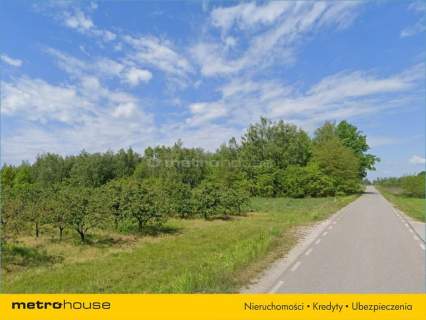Działka siedliskowa 1,1 ha blisko trasy S8