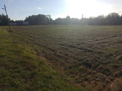 Sprzedam działki budowlane każda po 1500m2 we wsi Grochowa