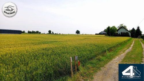 Działka budowlana w Bieruniu Ściernie z DROGĄ