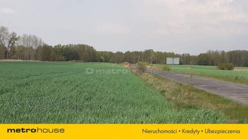 Działka na sprzedaż, 10006 m2, Łęki