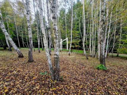 KLIMATYCZNE SIEDLISKO Z DOMEM POD LASEM, SKOŁYSZYN, POWIAT 