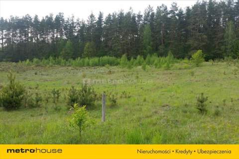 Działka rekreacyjna na sprzedaż, 2006 m2, Stawiguda