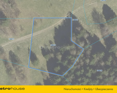 DZIAŁKA DUSZNIKI PODGÓRZE - 2000 m2 NA SPRZEDAŻ
