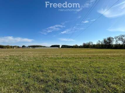 Ostatnia Działka budowlana Budy Barcząckie 3050m2
