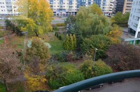 Mieszkanie do wynajęcia, 40 m2, Warszawa