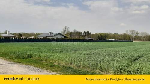 Działka na sprzedaż, 10006 m2, Łęki
