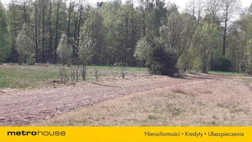 Działka rolna na sprzedaż, 9900 m2, Marysin
