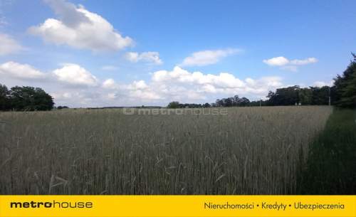 Działka budowlana 2212 m2 w Lichawa-Parcela