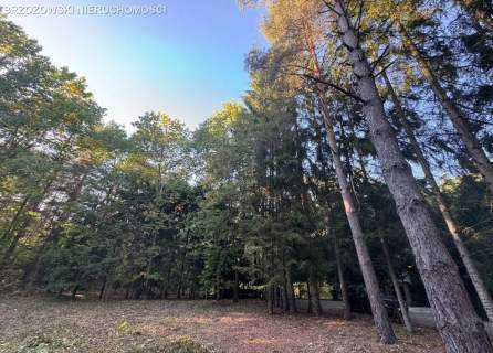 Wiązowna, Emów, 2300 m2, WZ wolnostojący