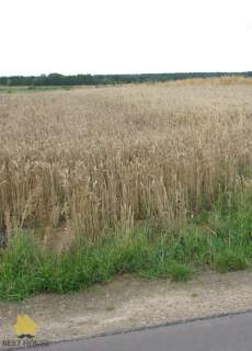 Działka budowlana na sprzedaż, 1000 m2, Siostrzytów