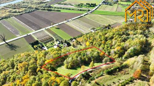 Widokowa działka rolna z panoramą na Dunajec