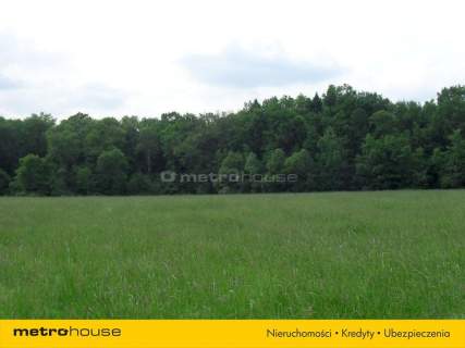 1 HA Bardzo ładna działka rolna z prawem zabudowy