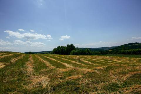 Działka rolno-budowlana w Gromniku
