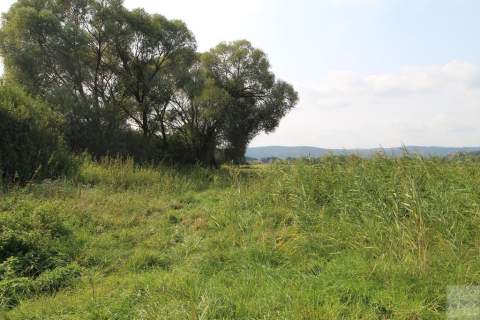 Działka budowlana na sprzedaż, 6000 m2, Śliwnica