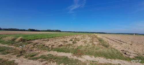 Działka rolna na sprzedaż, 3000 m2, Rogów
