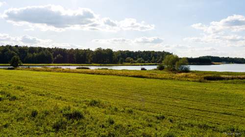 Działka rekreacyjna - Radgoszcz, pow. 1035 m2