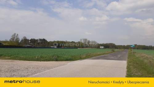 Działka na sprzedaż, 10006 m2, Łęki