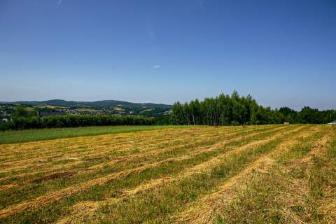 Działka rolno-budowlana w Gromniku