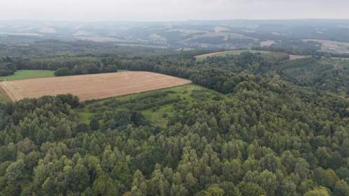 Malowniczo położona działka rolna w Nowej Wsi 