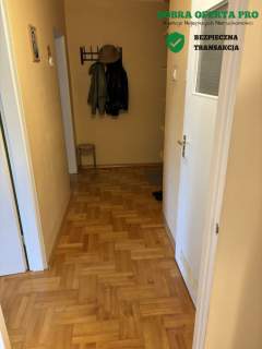 2-pokojowe mieszkanie z balkonem i dużą piwnicą