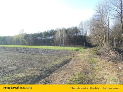 Działka rolno budowlana. Stachlew. 6km do trasy A2