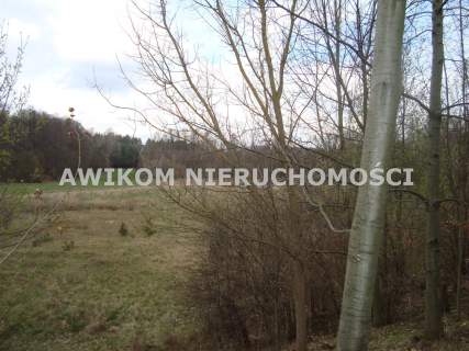 Działka na sprzedaż, 10300 m2, Pieńki Zarębskie