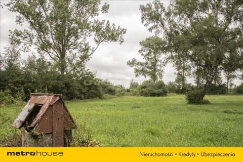 KACZOROWY XIX WIECZNY DWÓR 8 HEKTARÓW ZIEMI