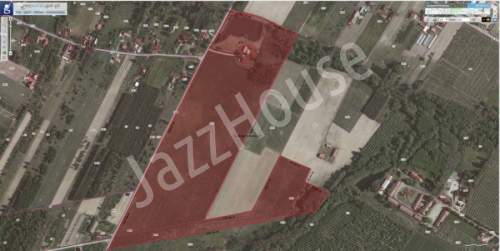 Gospodarstwo - działka inwestycyjna z domem i zabu