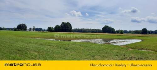 Działka rolna na sprzedaż, 9283 m2, Żeliszew Podkościelny