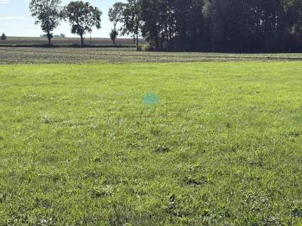 Grunt pod inwestycje Owieczki gm. Łubowo
