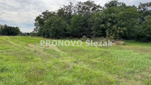 Sprzedam działkę w Lutyni