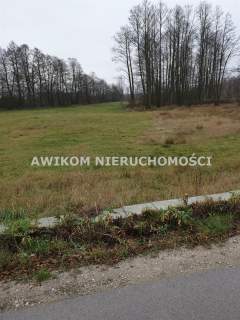 Działka w Kampinoskim Parku Narodowym