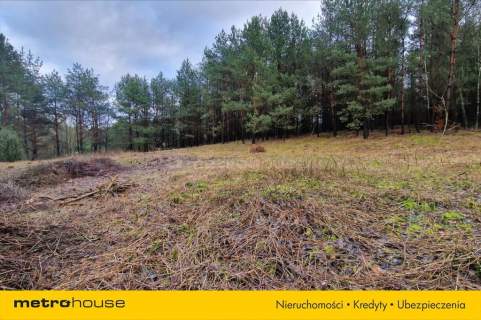 Piękna działka 1,32 ha w Nowej Wsi koło Ciechocina