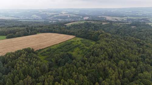 Malowniczo położona działka rolna w Nowej Wsi 